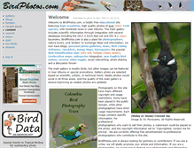 Tablet Screenshot of birdphotos.com